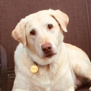 Meet your Posher, Janet